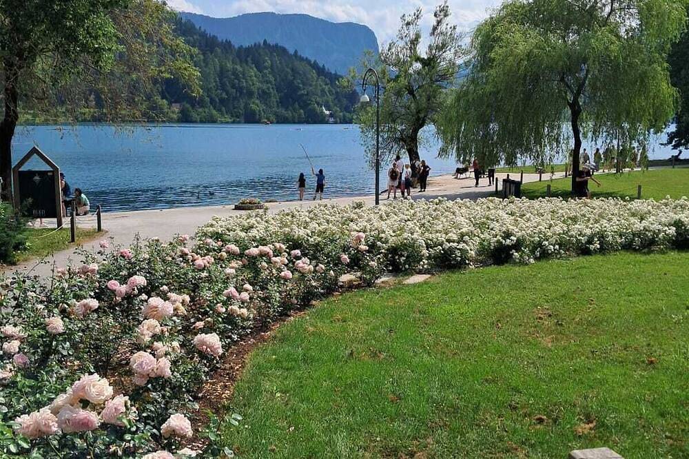 Appartement entier, Lakeside - Stylish Studio in Pâquis, Genève