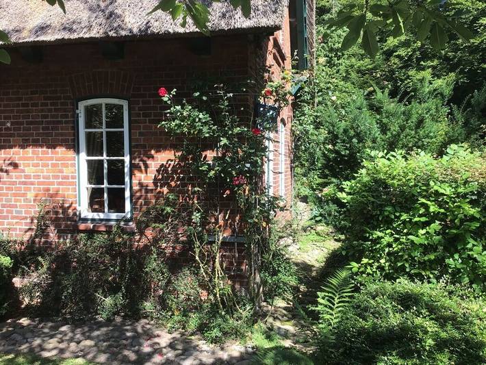 Ferienwohnung mit 2 Schlafzimmer in Schönwalde am Bungsberg, Ostholstein