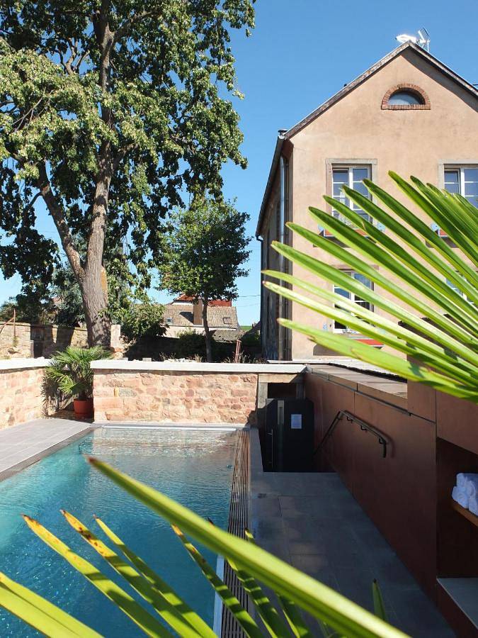 Hôtel pour 4 personnes, avec vue ainsi que jardin et piscine à Andlau - 2