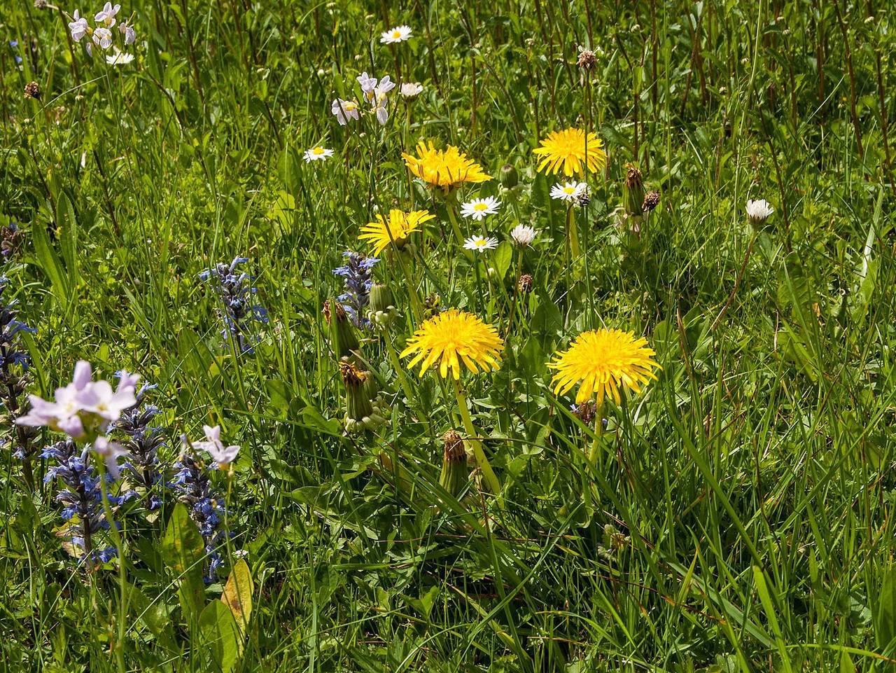 Haus Pletscherer, Kreuth-Brunnbichl - Ferienwohnung Haus Pletscherer in Kreuth, Spitzingsee