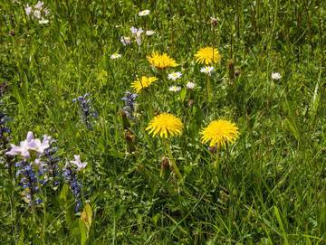 Bauernhaus für 2 Personen in Kreuth, Alpenland Tegernsee Schliersee, Bild 4