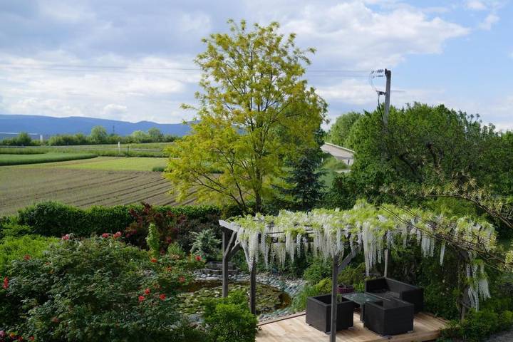 Hôtel pour 2 personnes, avec jardin et terrasse à Sermersheim - 4