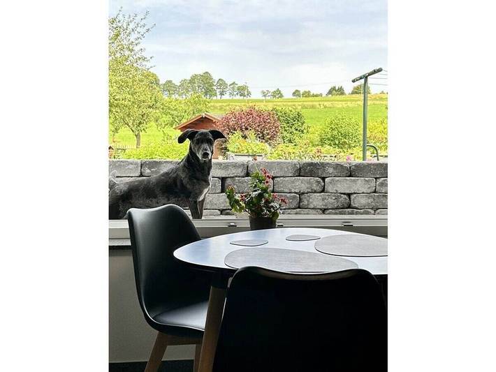 Ferienhaus für 4 Personen, mit Garten in Kall - 2