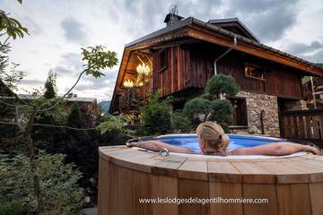 Gîte pour 14 personnes, avec sauna et jacuzzi ainsi que jardin et balcon, animaux acceptés dans Office de Tourisme de Praz sur Arly