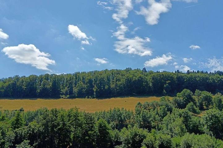Location de vacances pour 8 personnes à Sainte-Marie-aux-Mines