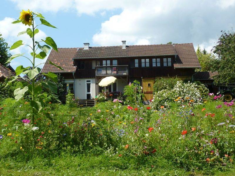 Ganze Ferienwohnung, Ferienhaus Familie Otto - 2-Zimmer-Fewo, Terrasse, Seegrundstück, Eg, 50 qm in Hemmenhofen, Gaienhofen