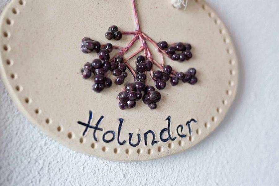 Zimmer Holunder in Tuxer Alpen, Navis