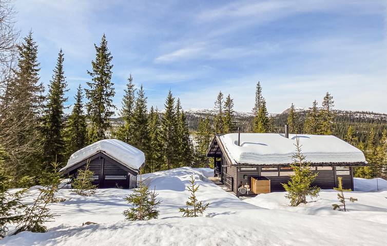 Ferienhaus für 8 Personen mit Garten in Sigdal