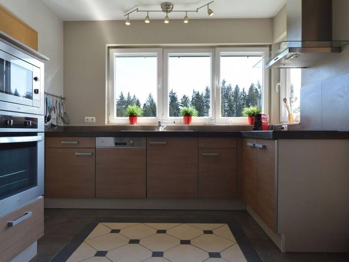 Ganze Wohnung, Luxury holiday apartment with a sauna, fireplace and views over a lake in In der Bivelt, Weismes