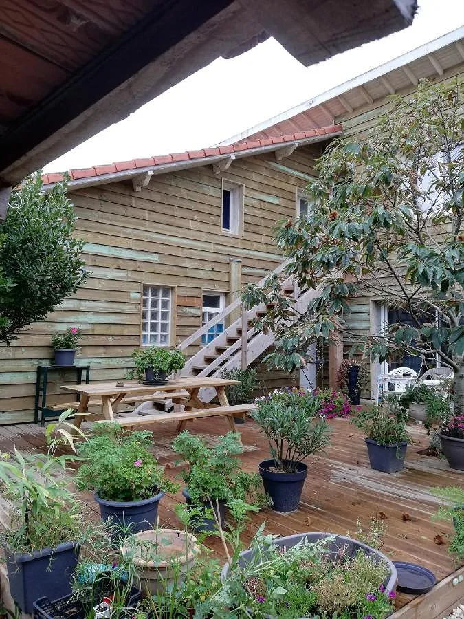 Holiday apartment for 8 people, with view, with pets - 1