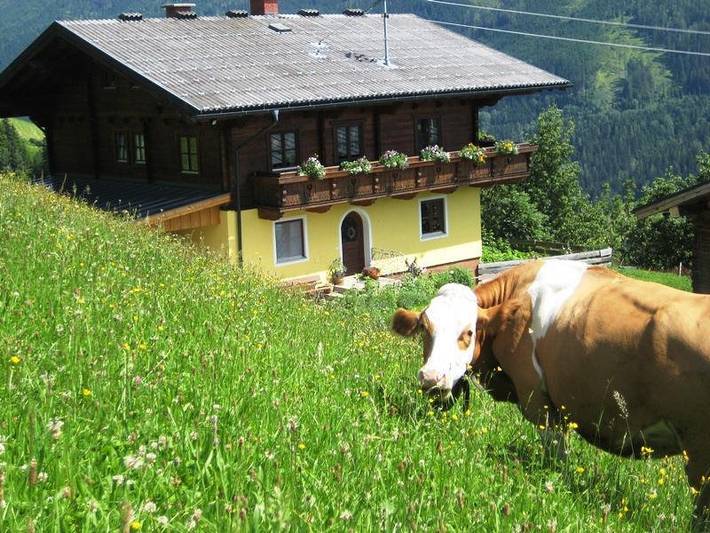 Bauernhaus für 4 Personen, mit Pool und Garten, kinderfreundlich in Ski Amadé - 4
