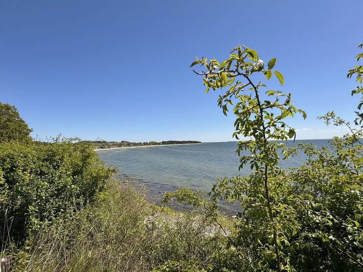 Ferienwohnung für 2 Personen, mit Haustier in Thiessow - 2