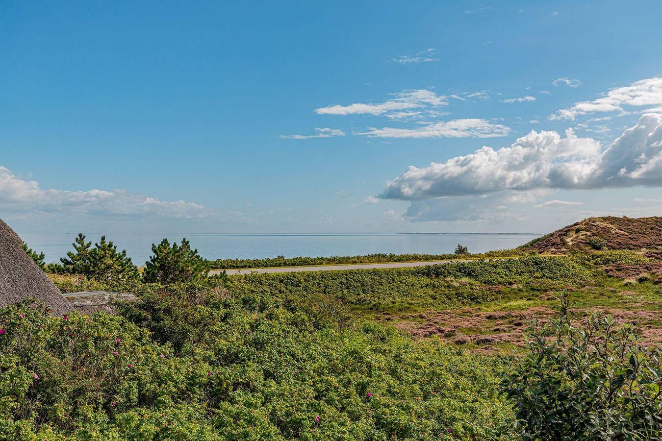 Herzlich Willkommen im Ferienhaus Austernblick in List (Sylt), Sylt