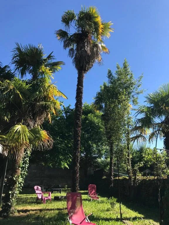 Holiday apartment for 3 people, with view and terrace as well as garden - 1