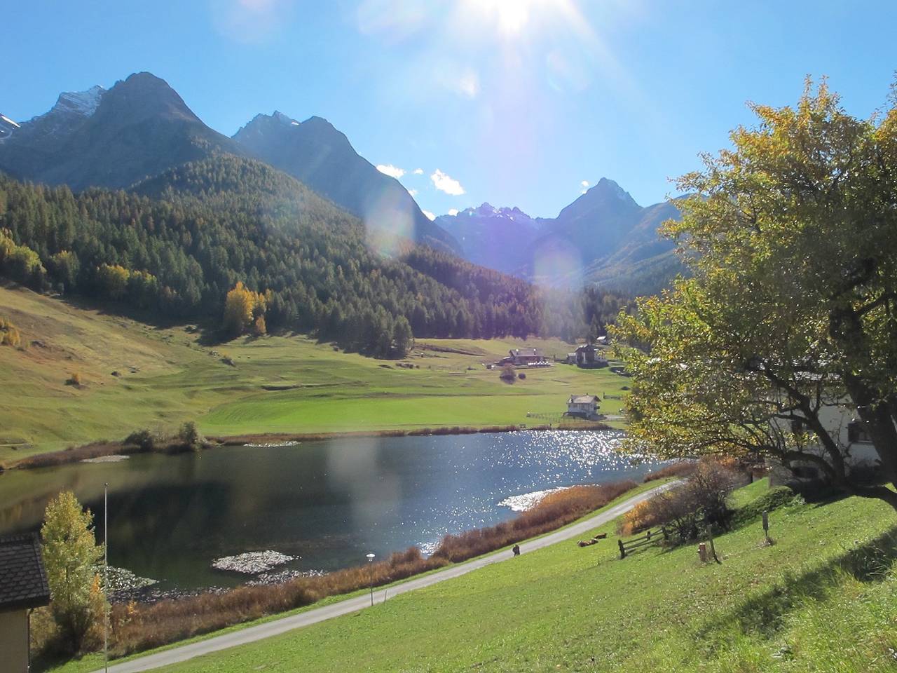 Ganze Ferienwohnung, Ferienwohnung Chasa Soldanella - Chasa Soldanella (D) Südblick 1 in Tarasp, Unterengadin