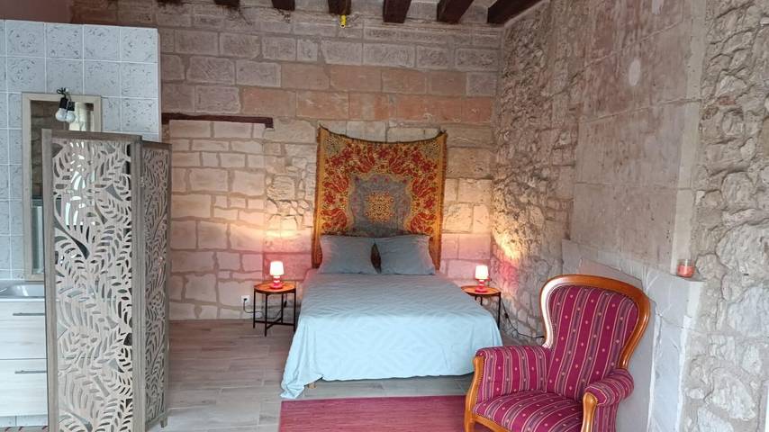 Chambre d’hôte pour 2 personnes, avec Jardin à L'Île-Bouchard