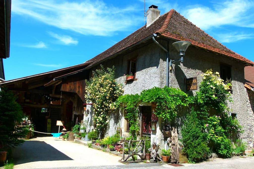 Le gîte du Tamlin in Groslée-Saint-Benoît, Belley