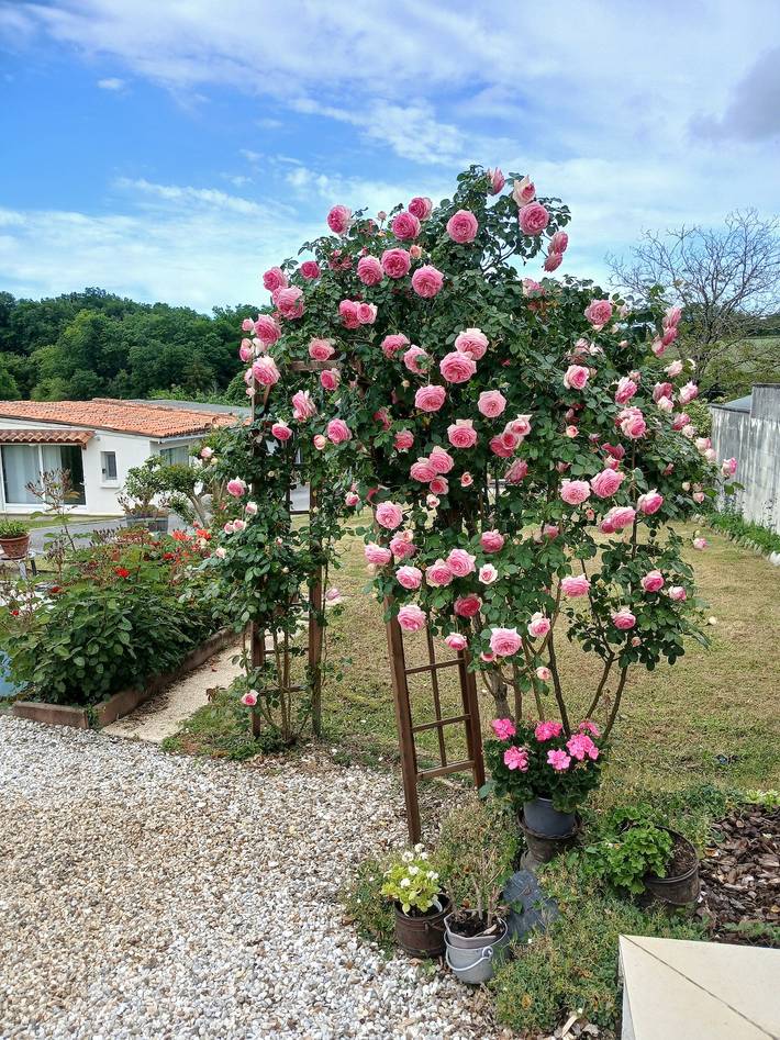 Chambre d’hôte pour 2 personnes, avec Jardin
