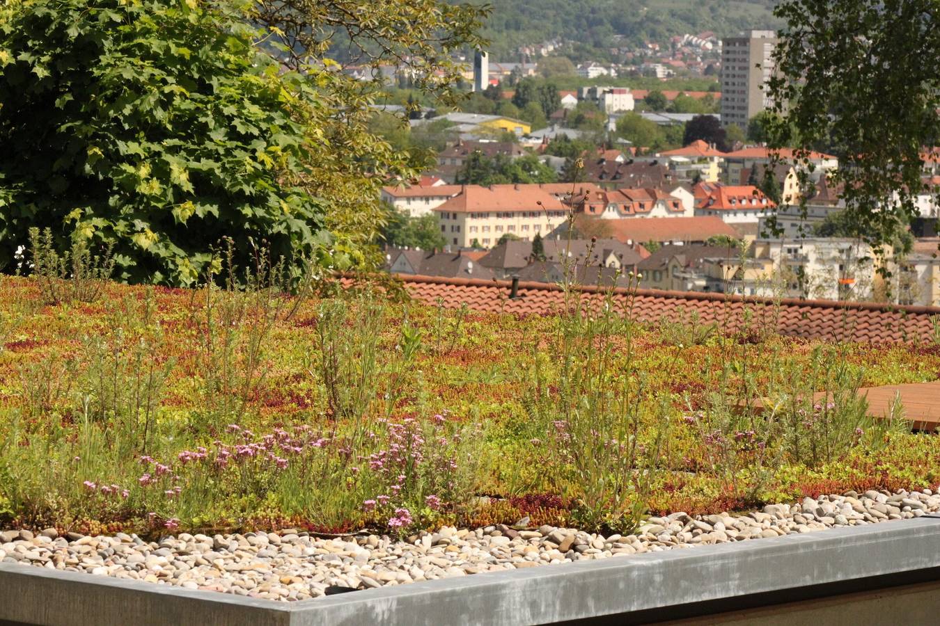 Ganze Ferienwohnung, Grimm's Lodge - 1-Raum-Apartment in Lörrach, Südschwarzwald