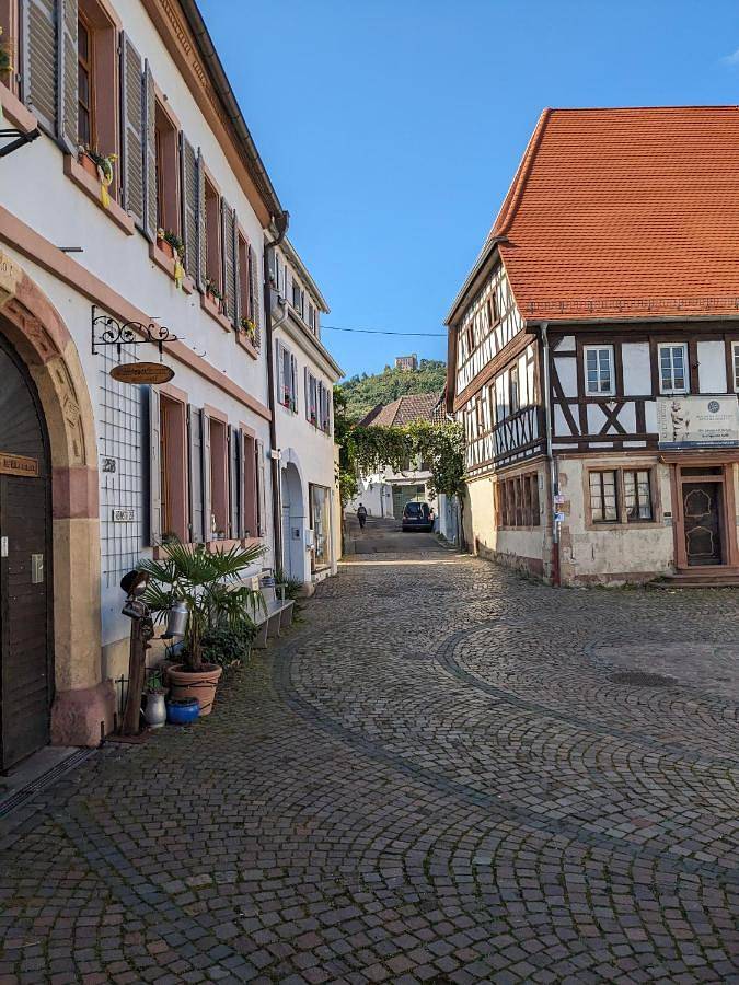 Ferienwohnung für 4 Personen, mit Terrasse und Ausblick in Hambach (Neustadt) - 3