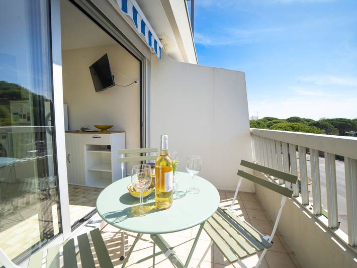 Gîte pour 3 personnes, avec balcon dans Port Camargue - 2