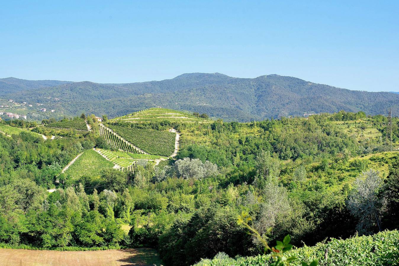 Ganze Wohnung, Ferienwohnung 'Casa Vera' mit Bergblick, privater Terrasse und Wlan in Gavi, Alessandria Provinz