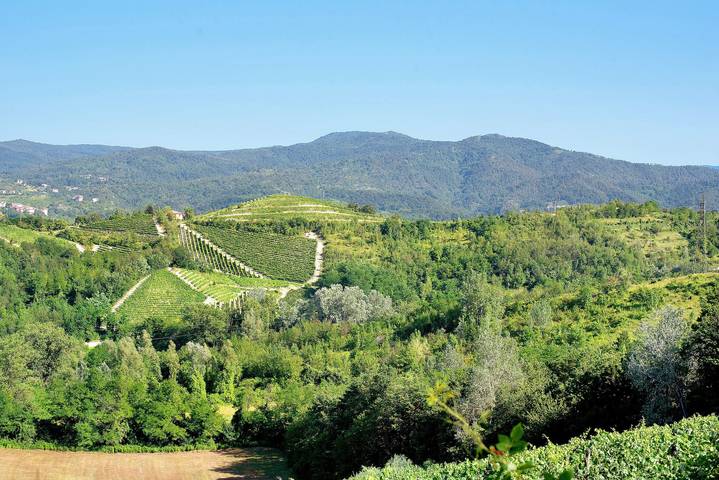 Entire apartment, Apartment 'Casa Vera' with Mountain View, Private Terrace and Wi-Fi in Gavi, Alessandria Province