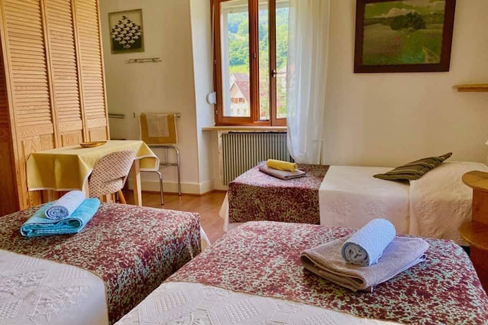 Entire apartment, Apartment-Superior-Ensuite-Mountain view-1er étage-2 terrasses in Munster (Haut-Rhin), Parc naturel régional des Ballons des Vosges