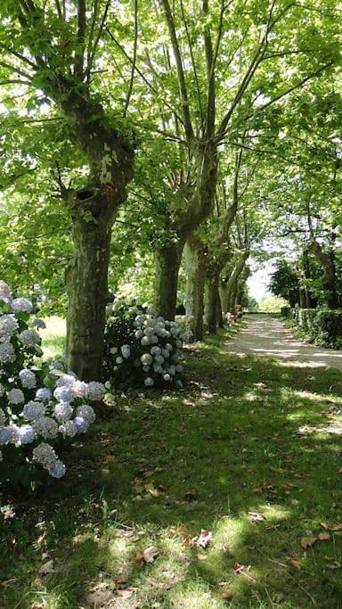Location de vacances pour 10 personnes, avec jardin ainsi que vue et piscine à Sames - 3