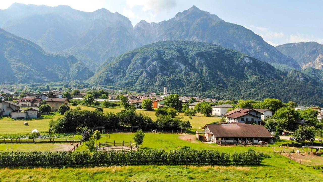 Agritur Airone Bed & Camping in Barco, Levico Terme
