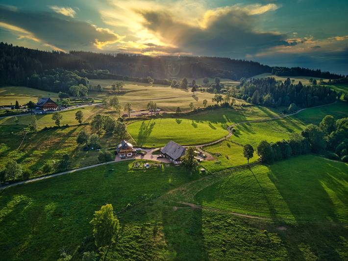 Ganze Wohnung, Ferienwohnung 'Hirschsprung' mit Bergblick, privater Terrasse und Wlan in Hinterzarten, Südschwarzwald