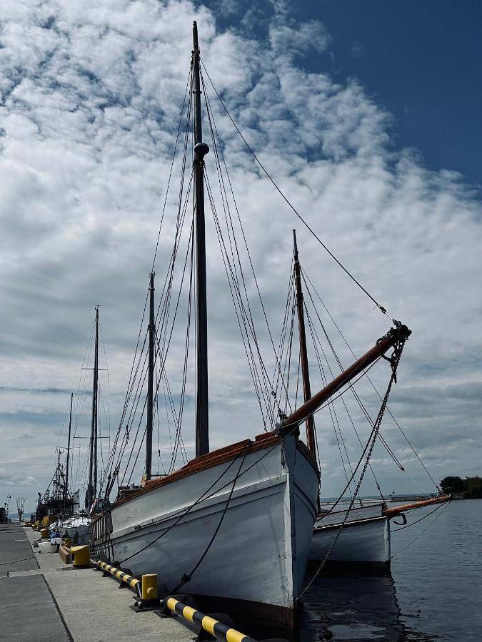 Boot für 5 Personen, mit Ausblick und Terrasse, mit Haustier in Polnische Ostsee