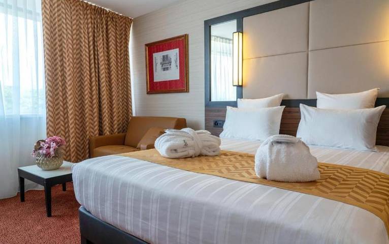 Hôtel pour 3 personnes, avec sauna et terrasse dans Aeroport De Geneve Cointrin - 3