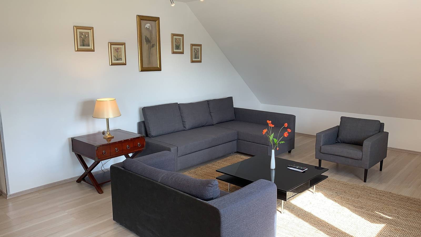 Ganze Wohnung, Ferienwohnung Promedklinik 2 nahe Main in Volkach, Fränkisches Weinland