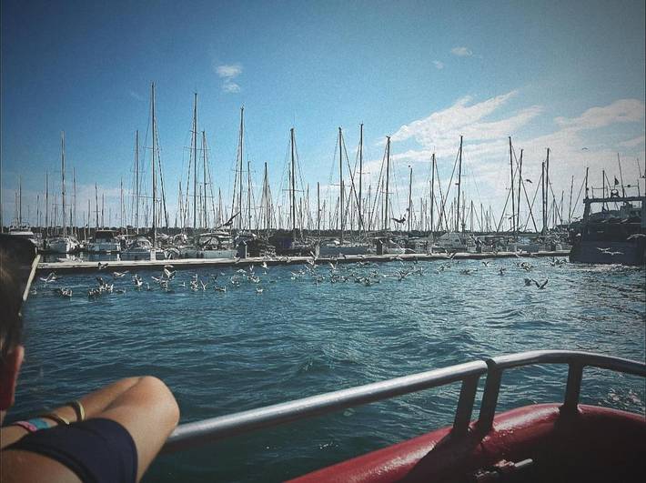 Location de vacances pour 4 personnes, avec jardin et piscine dans la Tamarissière - 2