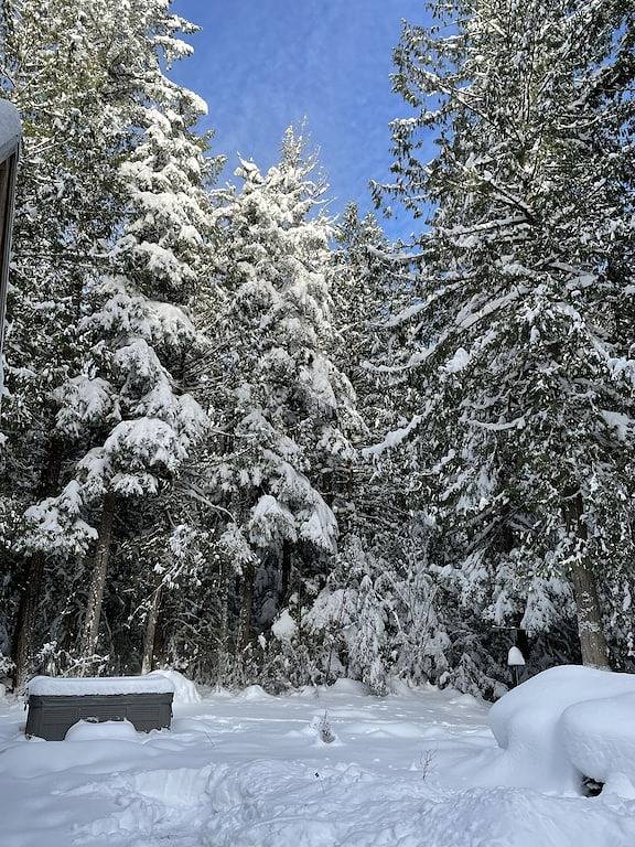 Private Log Cabin in the Woods - Hot Tub, Bbq, Wifi, Gazebo, Gaming Garage in Maple Falls, Mount Baker-Snoqualmie Nationalwald