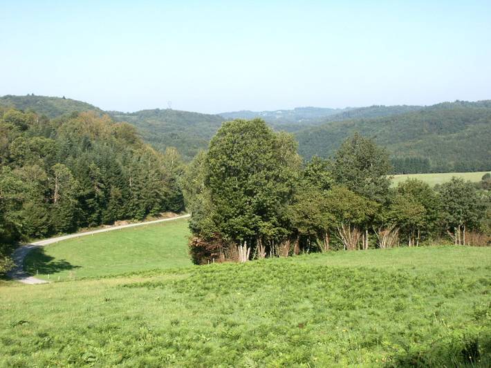 Gîte pour 12 personnes, avec jardin dans Parc Naturel Régional de Millevaches en Limousin - 2