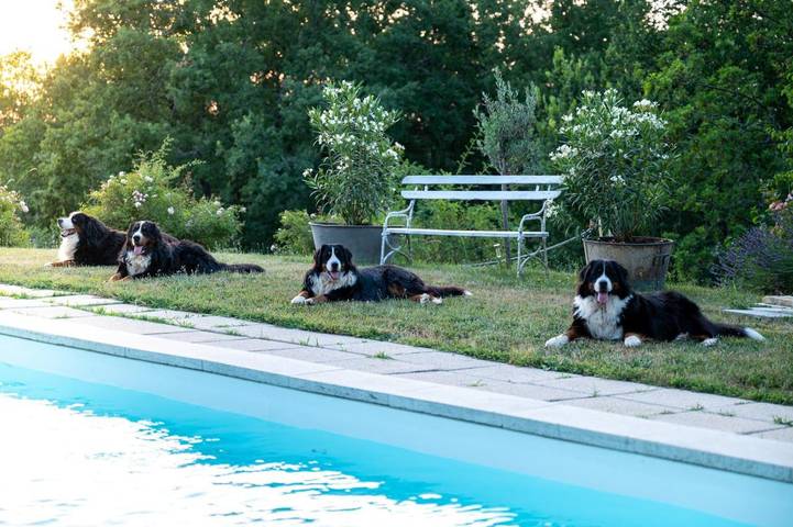 Gîte pour 2 personnes, avec vue ainsi que jardin et piscine à Larroque - 4