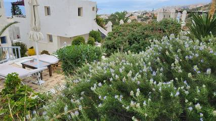 Vakantieappartement voor 8 Personen in Piskopiano, Iraklio-Heraklion en omgeving, Afbeelding 4