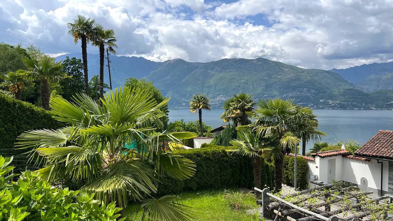 Ganze Ferienwohnung, Ferienwohnung für 5 Personen (65 m²) in Gambarogno in Gambarogno, Lago Maggiore (Schweiz)