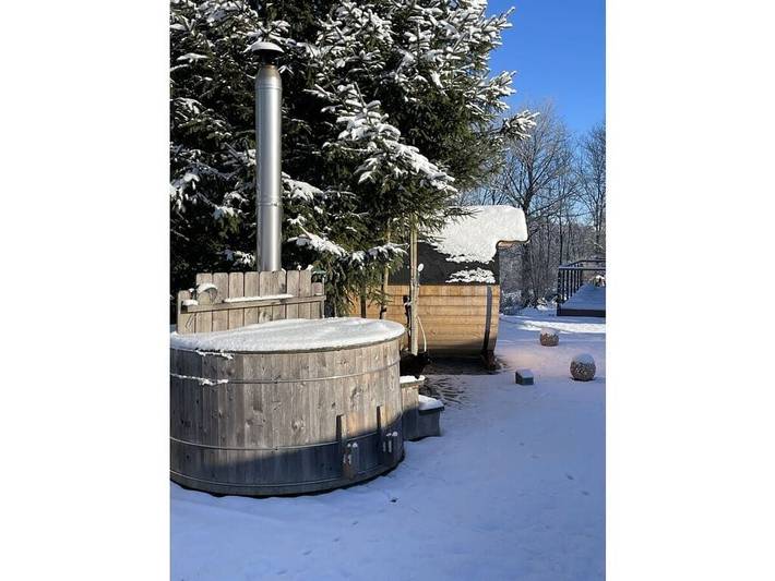 Ferienhaus für 3 Personen, mit Pool und Sauna sowie Terrasse und Whirlpool, mit Haustier in Thüringen - 3