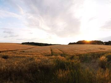 Ferienwohnung für 4 Personen in Hejls, Kleiner Belt, Bild 1