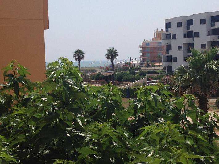 Ganze Wohnung, Großes T3-Apartment für 6 Personen mit Terrasse und Pool, 100m bis zu den Geschäften, am Sandstrand in Le Barcarès, Côte d'Améthyste