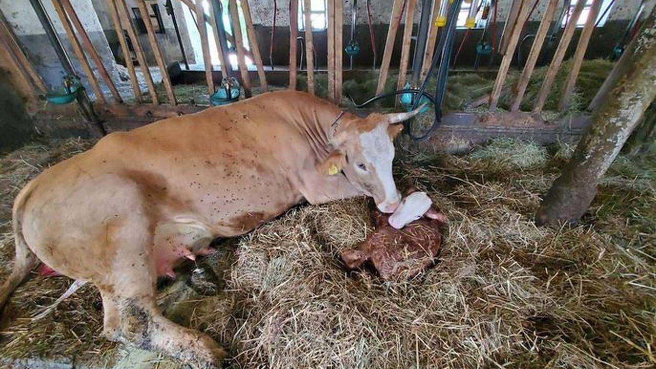 Ganze Ferienwohnung, Ferienwohnung für 2 Personen (42 m²) in Saulgrub in Altenau (Bayern), Saulgrub