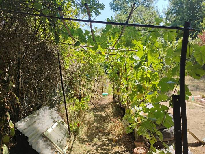 Tente pour 2 personnes, avec vue et jardin dans l' Aude - 3