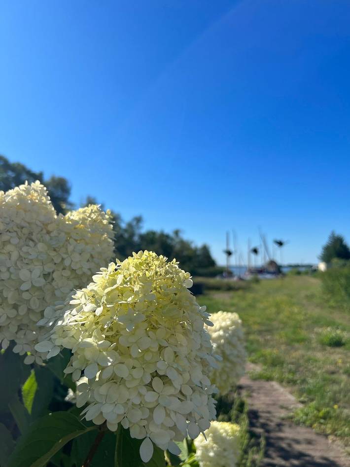 Ferienwohnung für 4 Personen, mit Seeblick und Garten in Wieck am Darß - 2