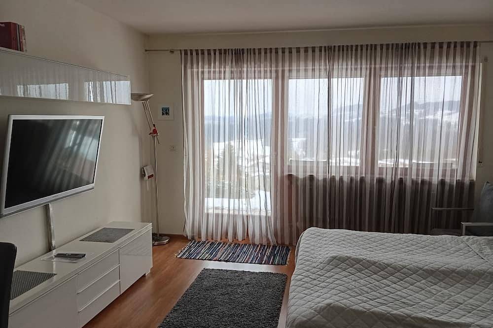 Ganze Wohnung, Freundliches 1-Zimmer Appartement mit Terrasse mit Panoramablick. in Oberreute, Bayerisch Schwaben