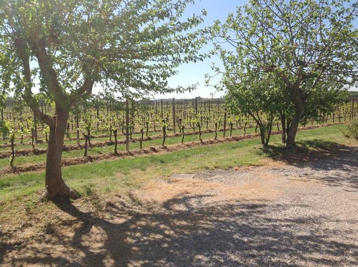 Ferienwohnung für 4 Personen, mit Garten und Ausblick, mit Haustier in Castelnuovo del Garda - 4