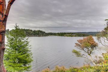 Vacation House for 6 Guests in Port Orford, Oregon Coast, Picture 2