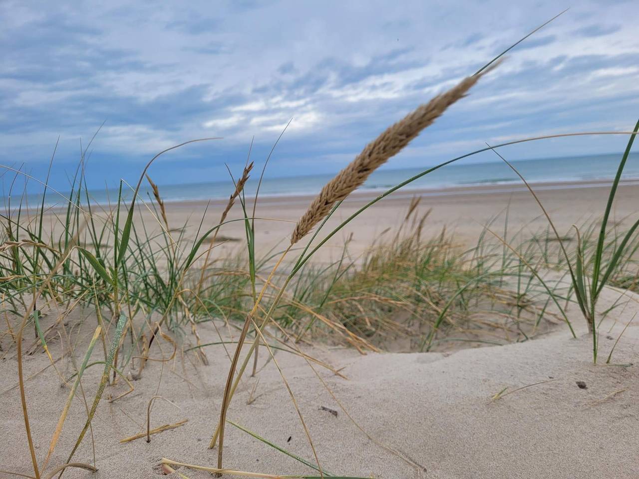 9 person feriebolig i Hirtshals in Region Hirtshals, Tannis Bugt